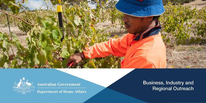 Employing Workers from the Pacific Islands and Timor-Leste Webinar